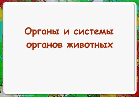 Биология 6 класс схема взаимосвязь органов и систем органов животных Биология 6 класс схема взаимосвязь органов и систем органов животных